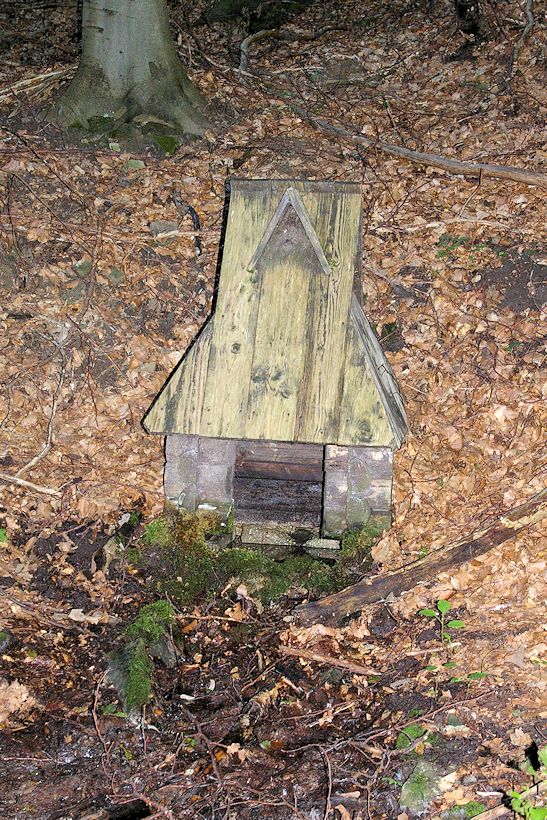 studánka U Bukového potoka (10955)