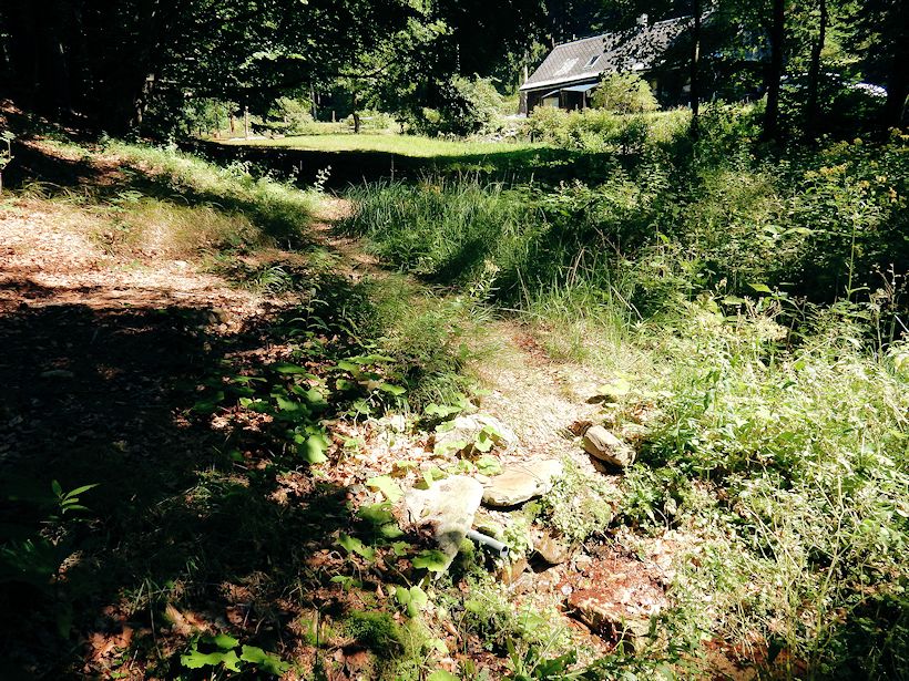 studánka Pod hájenkou (10958)
