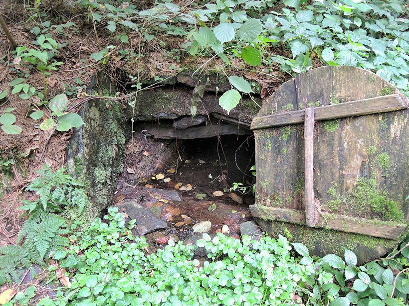 studánka U Nivského mlýna (10970)
