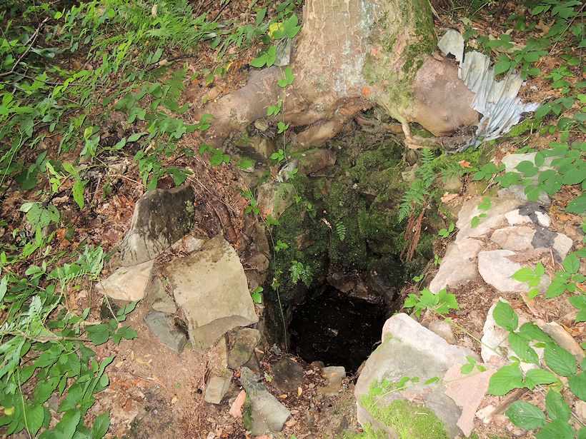 studánka Magdalenka (10974)