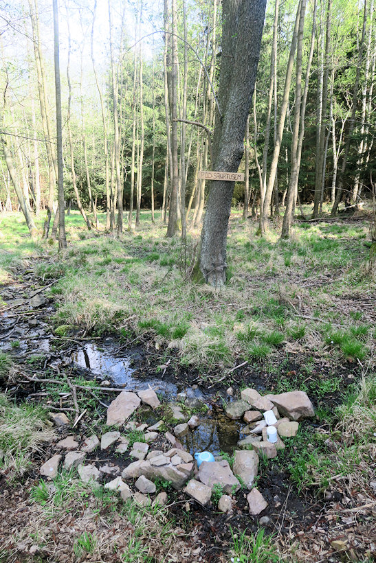 prameniště Pod Sanktusem (10980)