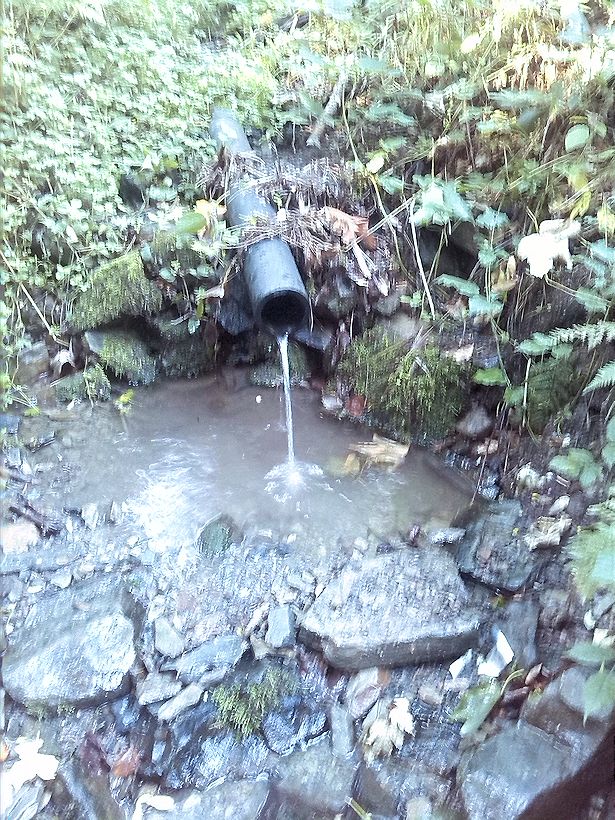 Tomáškova studánka (10981)