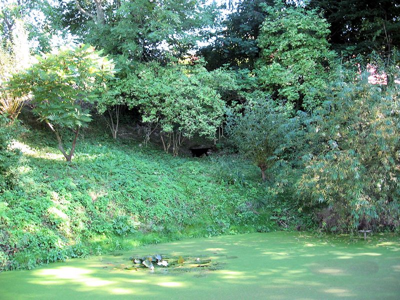 studánka U Kovářů (10986)