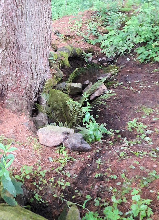 Karlova studánka (10989)