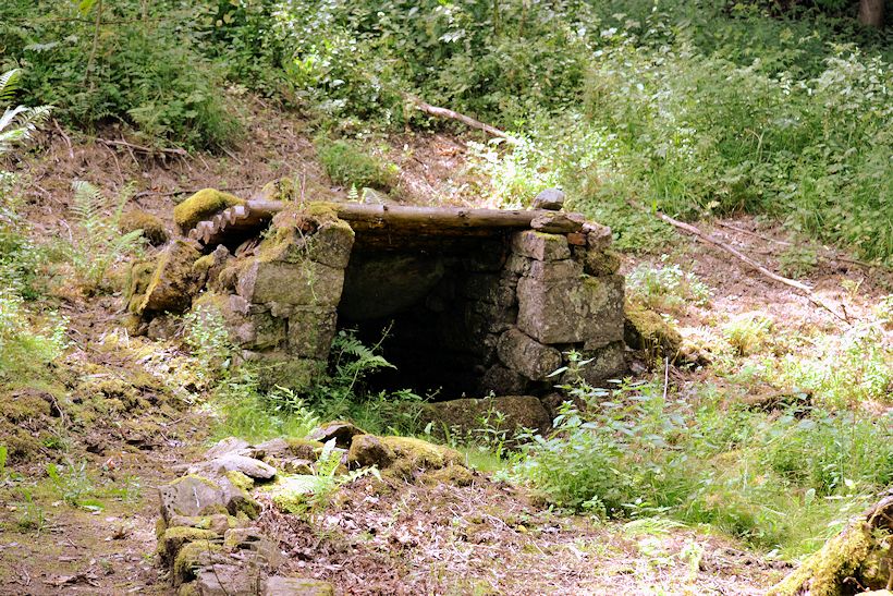 studánka bez jména (10997)