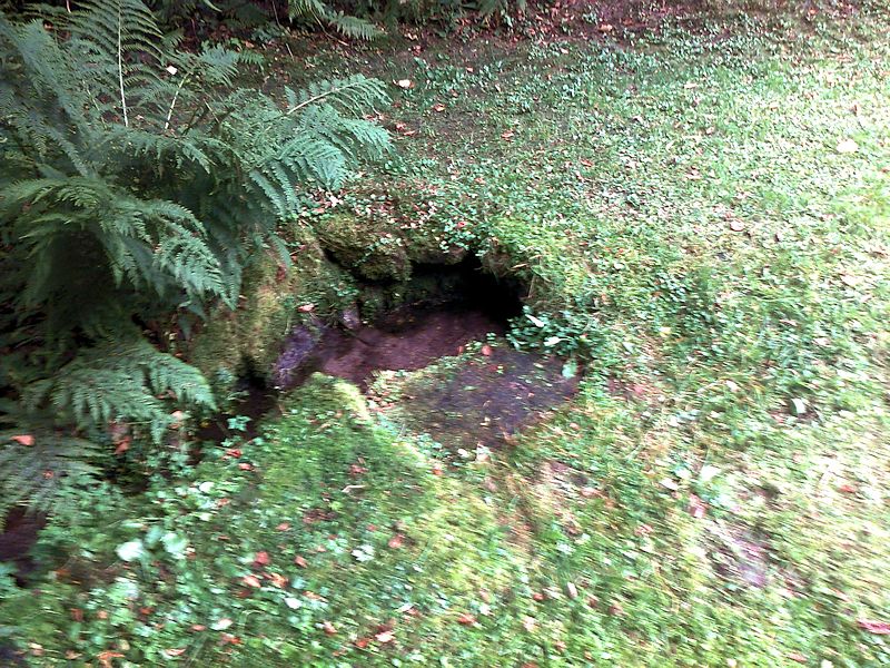 studánka U Říčky (11010)