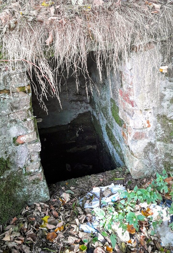 studánka bez jména (11029)