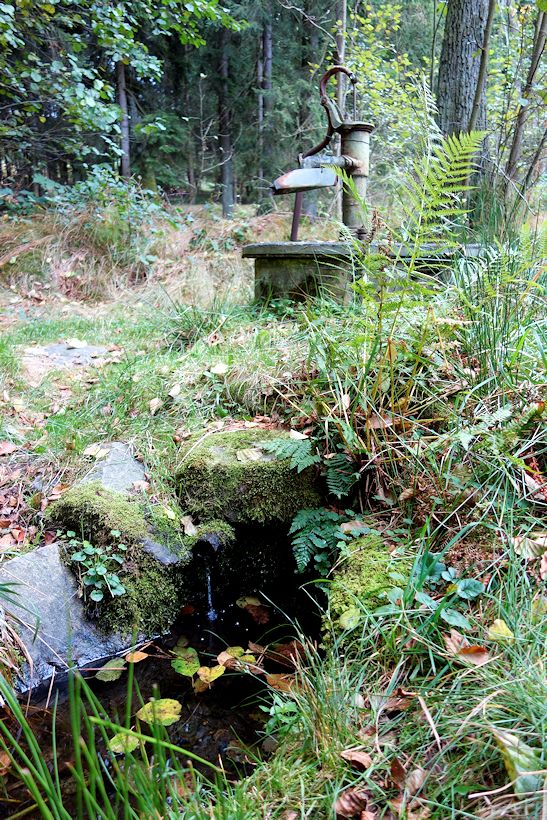 studánka V Koutech (11030)
