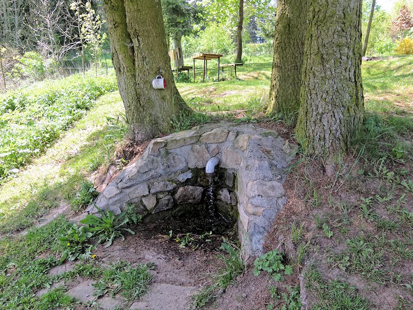 studánka bez jména (11031)