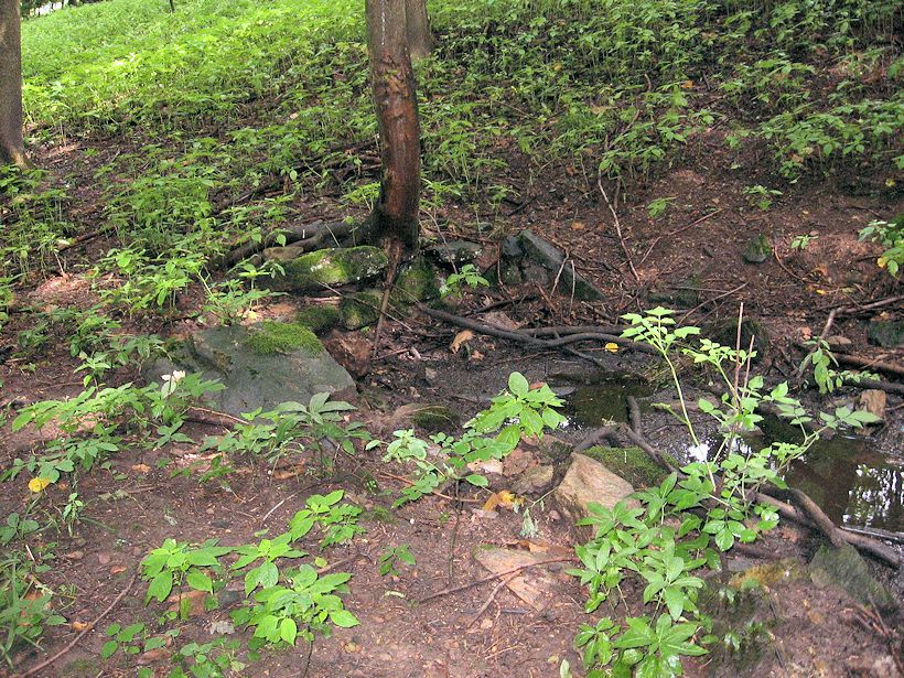 studánka Kubátka (11033)