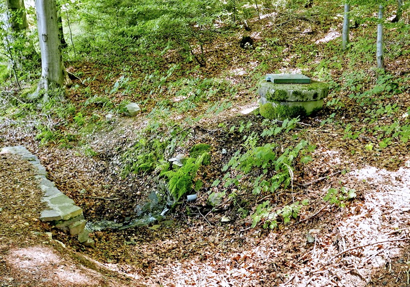 studánka U Řachvaje (11036)