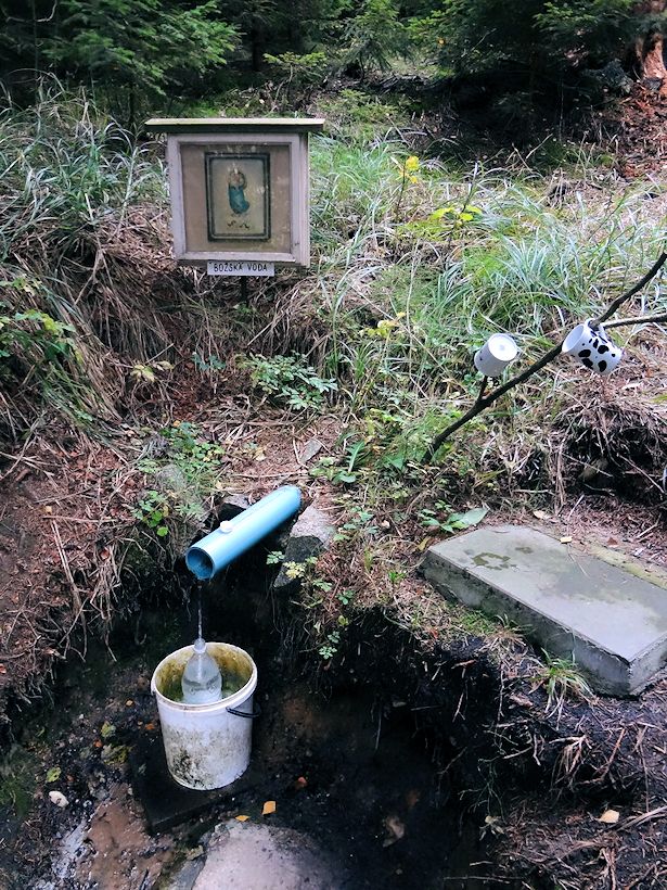 studánka U Svídnického mostku (11042)