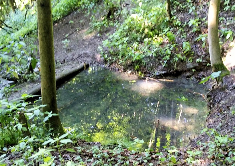 studánka bez jména (11050)