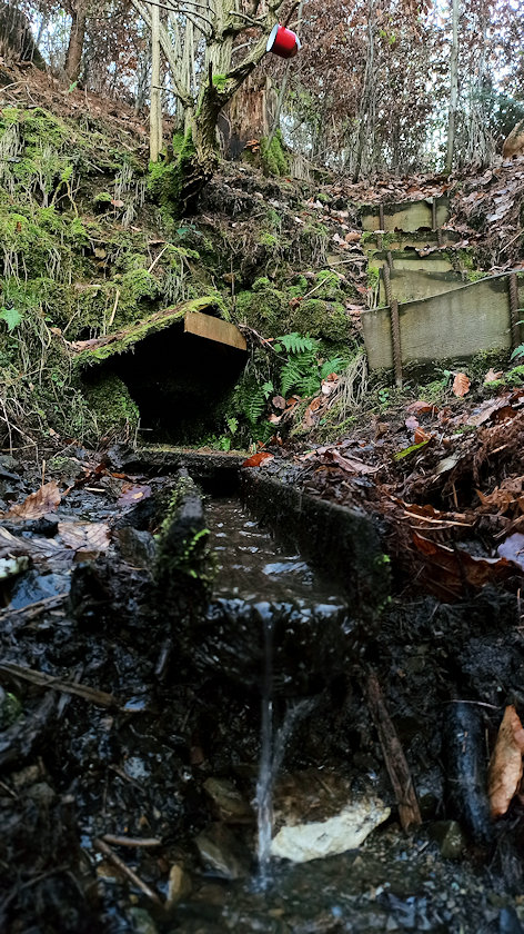 Erinina studánka (11051)