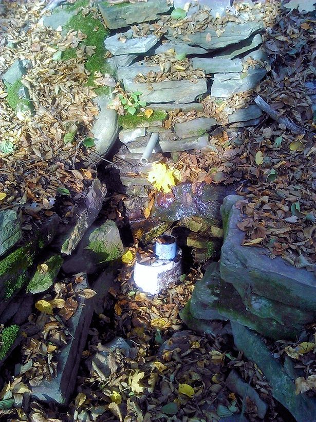 studánka Kančárna (11053)