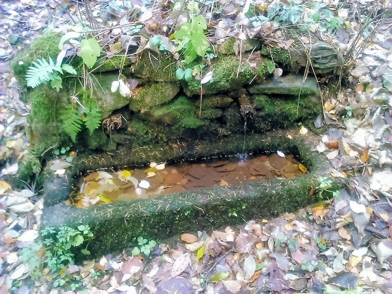 studánka bez jména (11066)