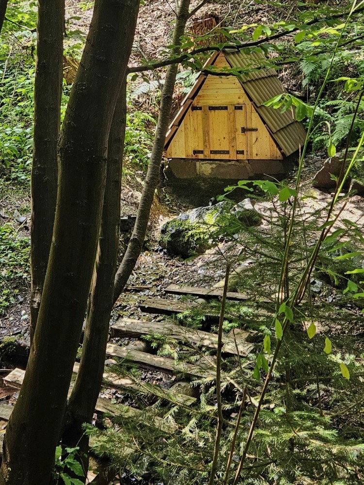 studánka U Chalupecké strouhy (11073)