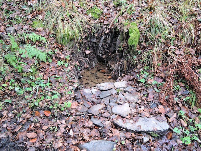 studánka U Budišovky (11075)