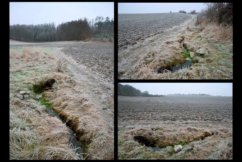 pramen Břežanská studánka (11090)
