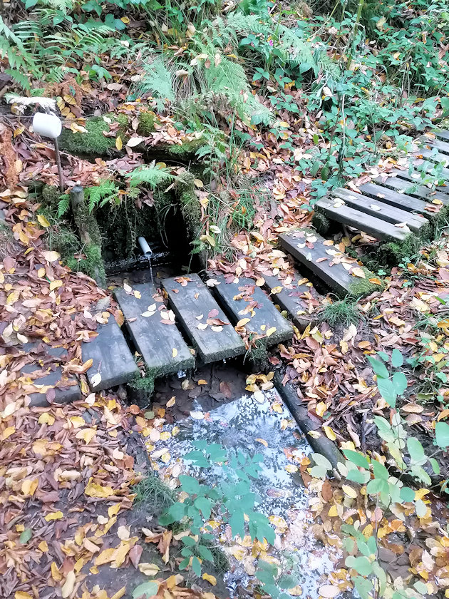 Karlova studánka (11092)