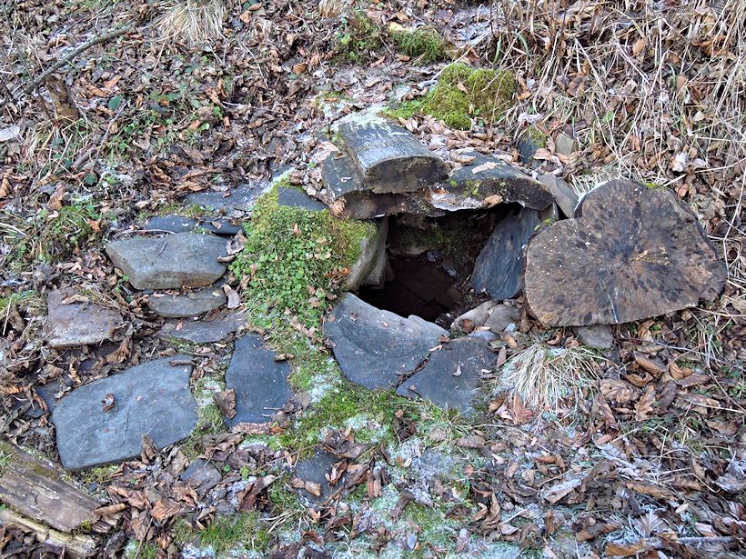 studánka Skrytá (11099)