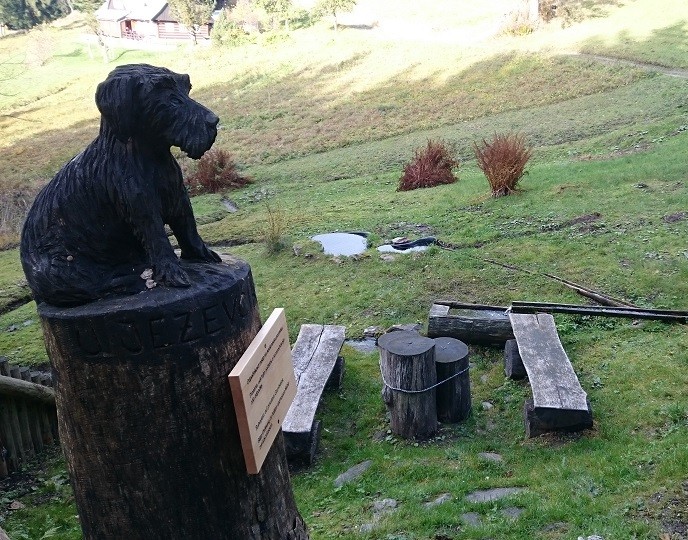 jiný vodní zdroj U jezevčíka (11116)
