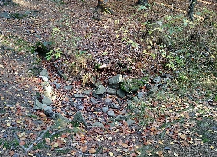 studánka bez jména (11117)