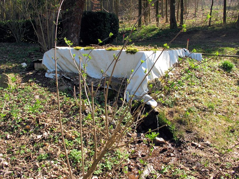 studánka Voršilka (11120)