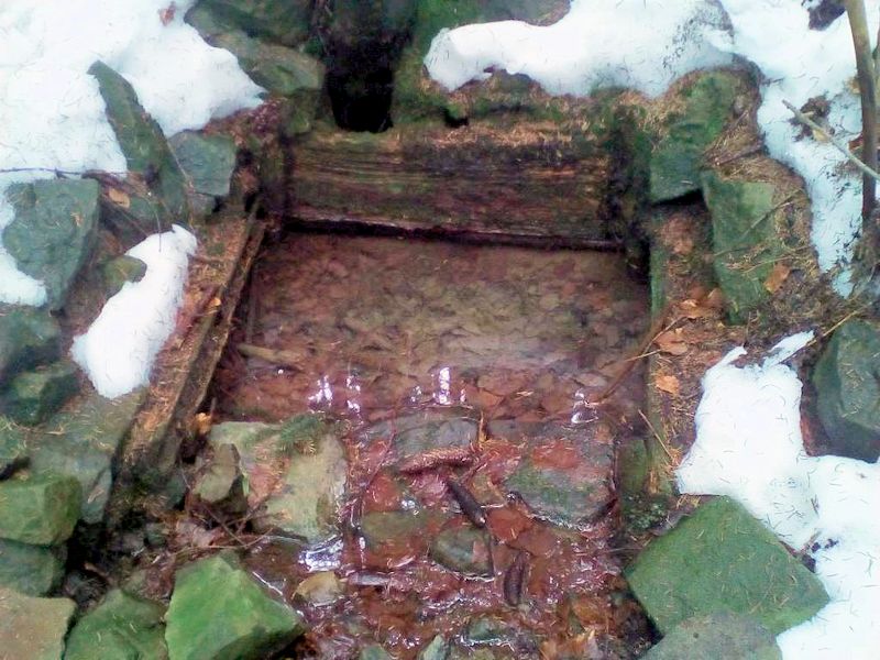 studánka bez jména (11129)