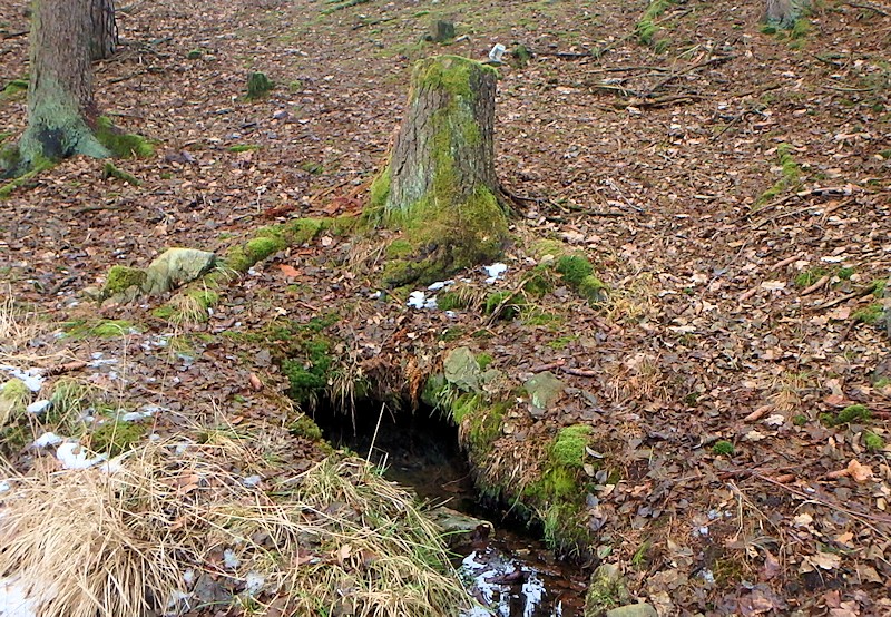 studánka V Mamušíně (11133)