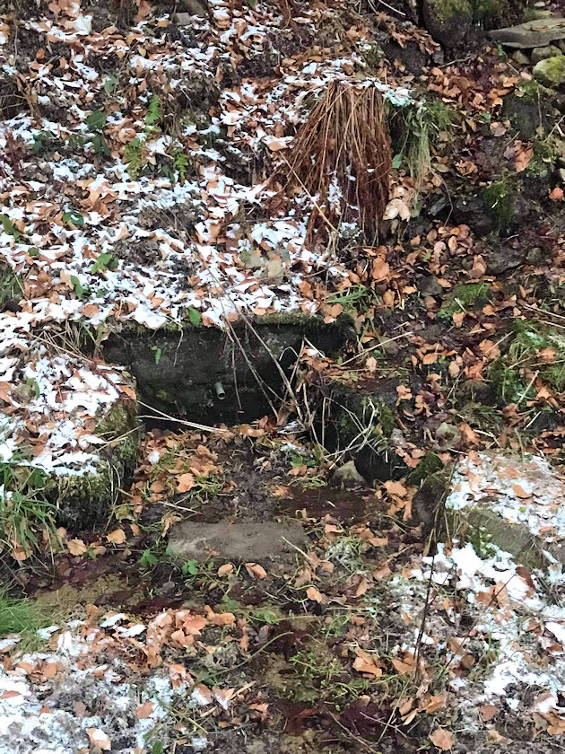 studánka Rogovec (11145)