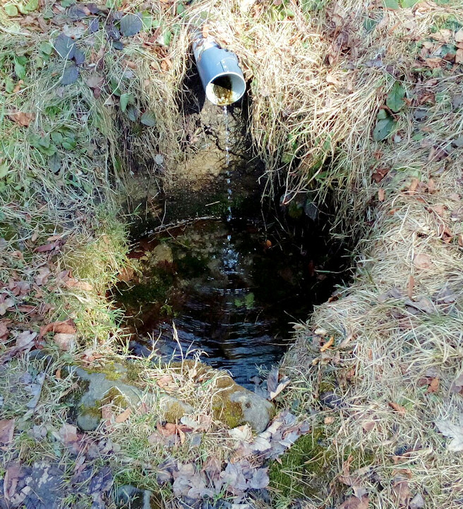 studánka V závrší (11146)