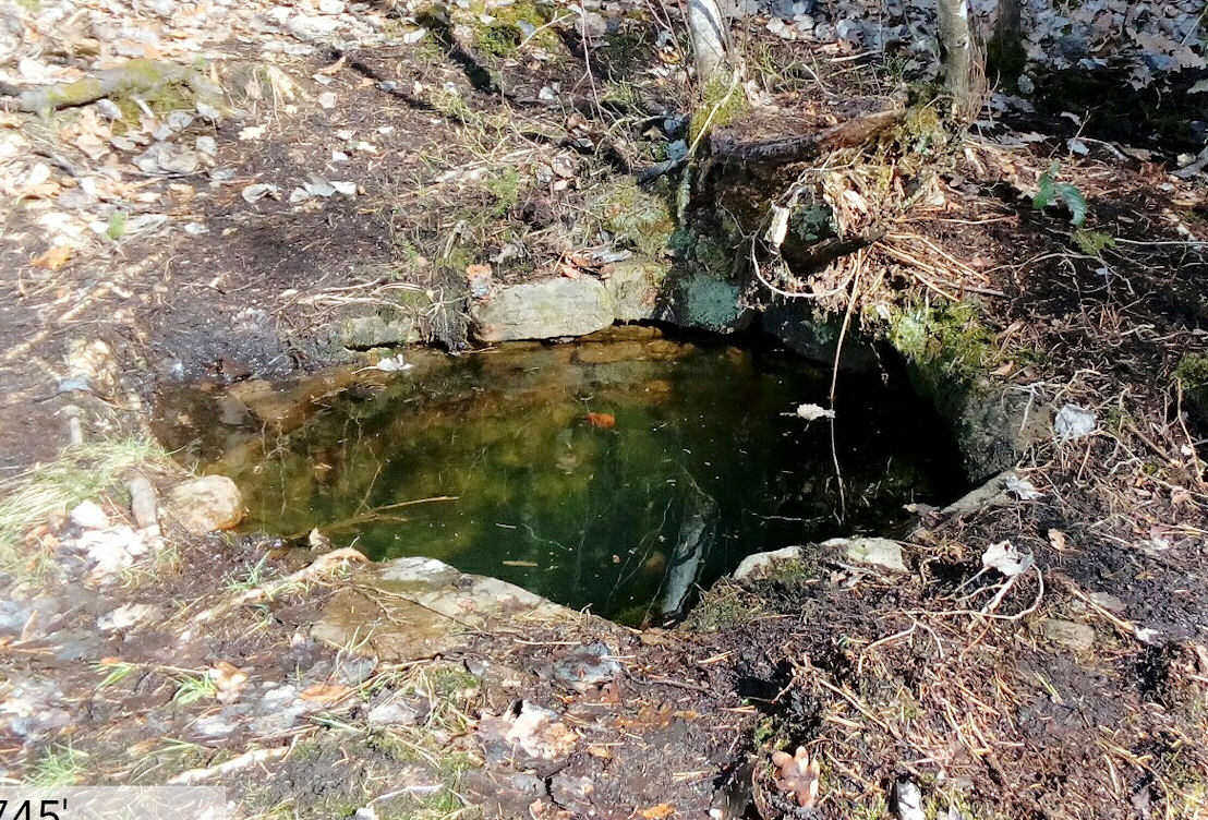 studánka Na Závrší (11147)