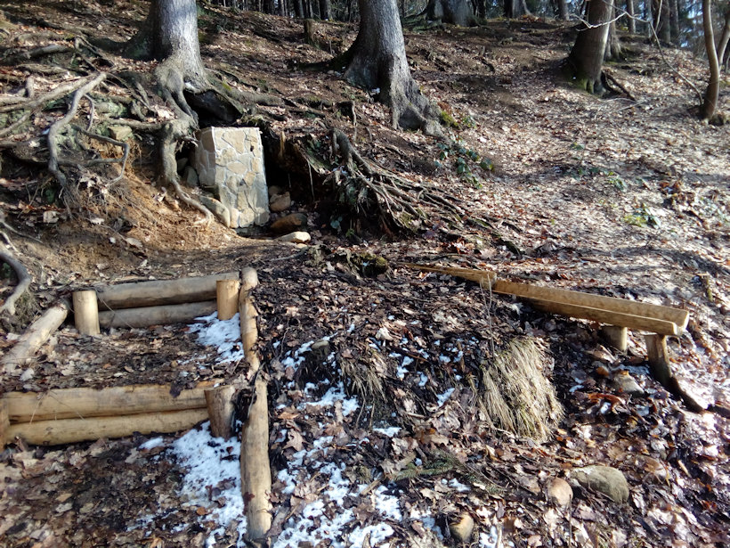 studánka V městském lese (11152)
