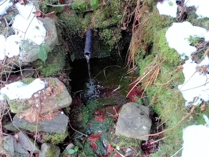 studánka V Jasení (11156)