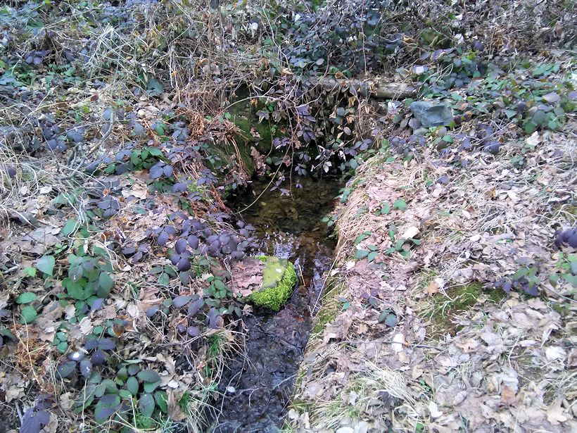 Včelí studánka (11159)