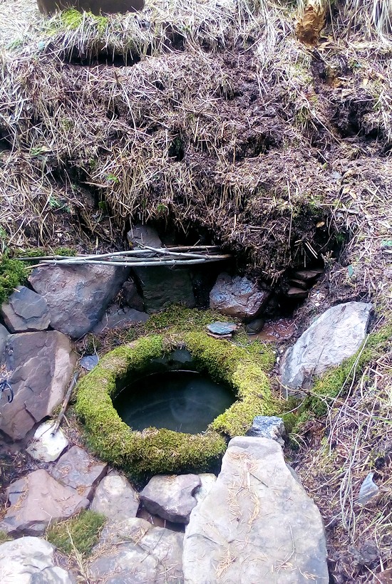 studánka Podkrkonošská (11170)