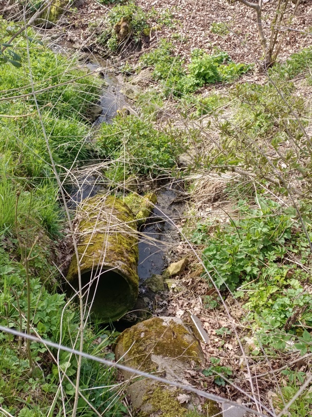studánka V podhůří (11172)