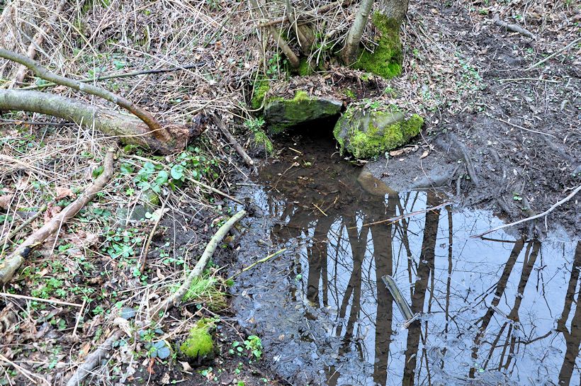 studánka V lučině (11174)