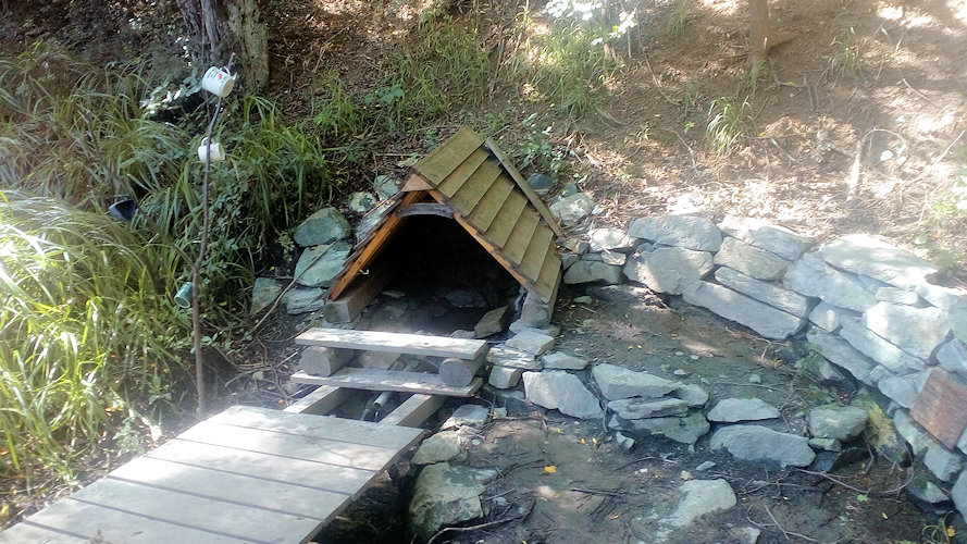 studánka Rokynova (11175)