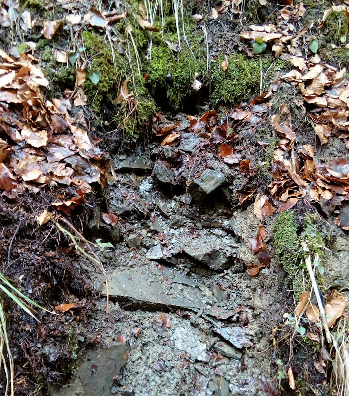 prameniště Pod Kamenitým (11184)