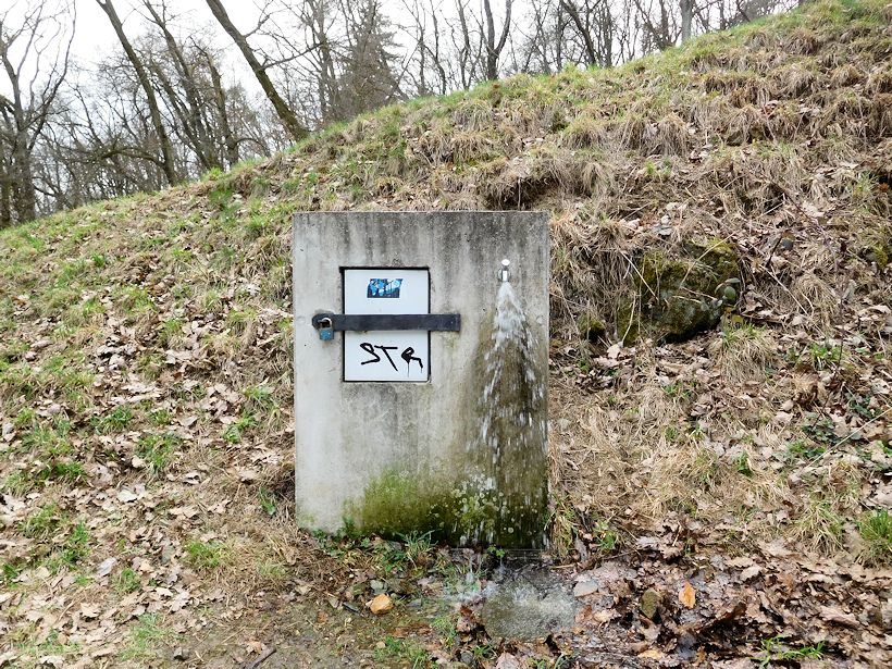 vrt bez jména (11190)