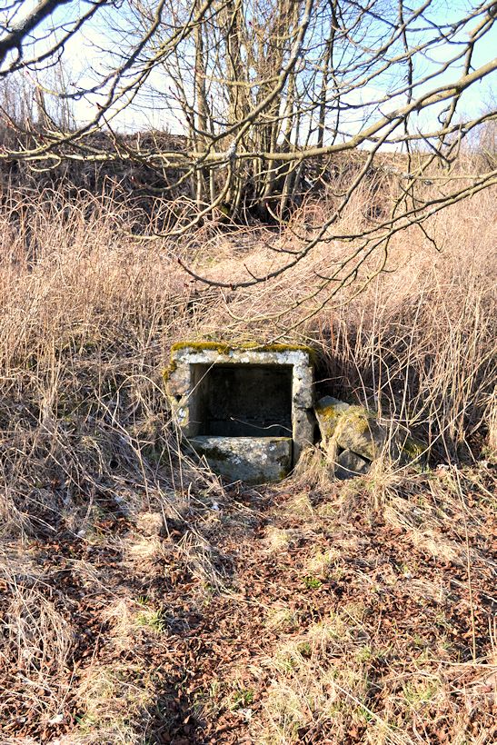 studánka U hřbitova (11203)
