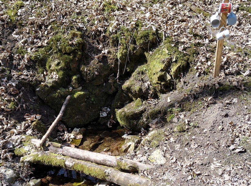 Tovaryšská studánka (11206)