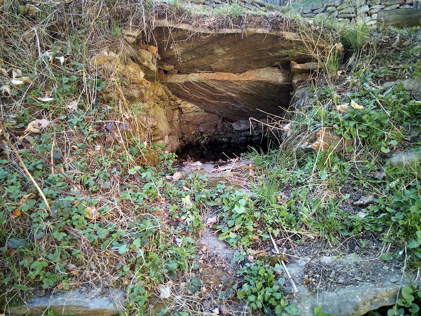 studánka Rakovská (11207)