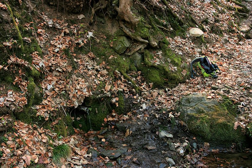 studánka bez jména (11210)