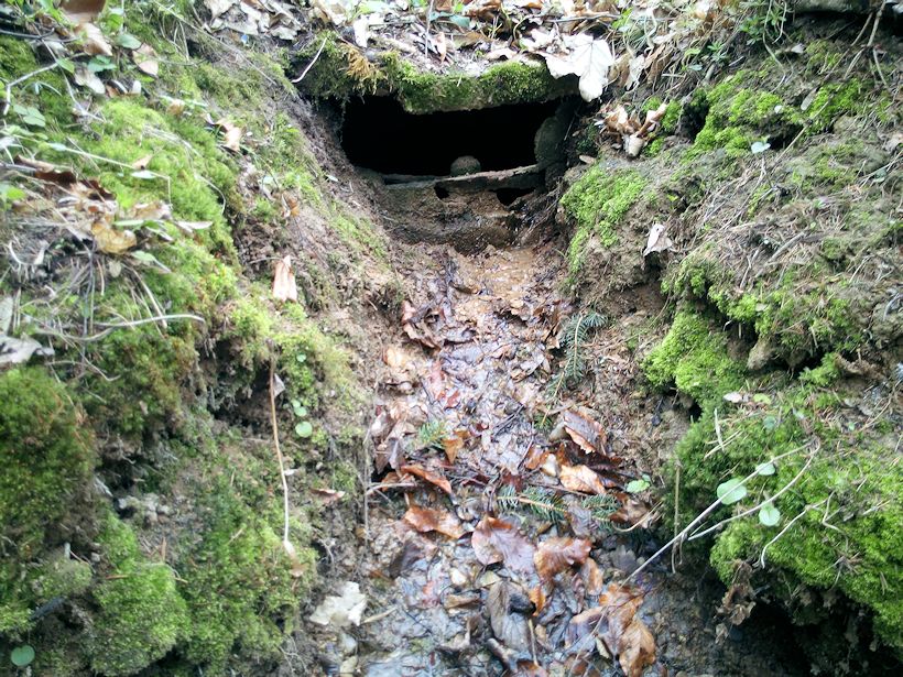 studánka Brusná (11226)