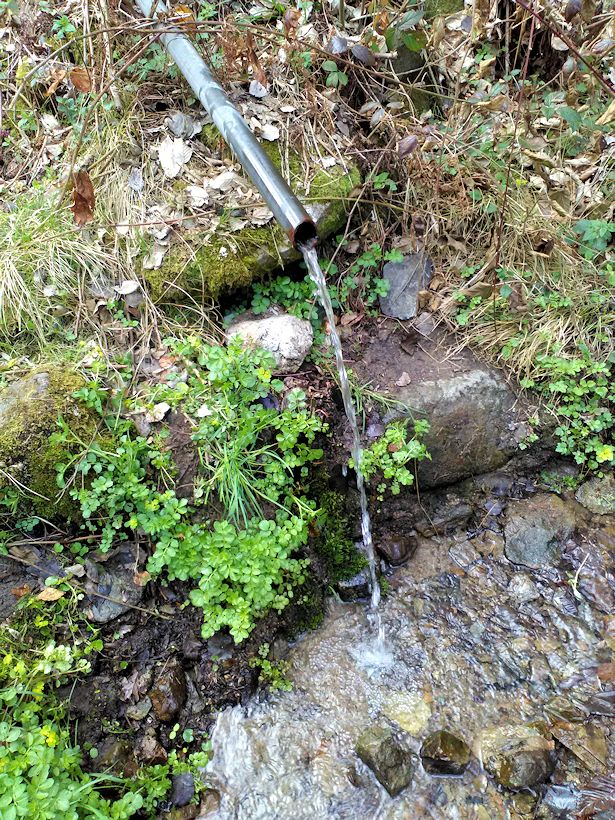 studánka Na Bačině (11229)