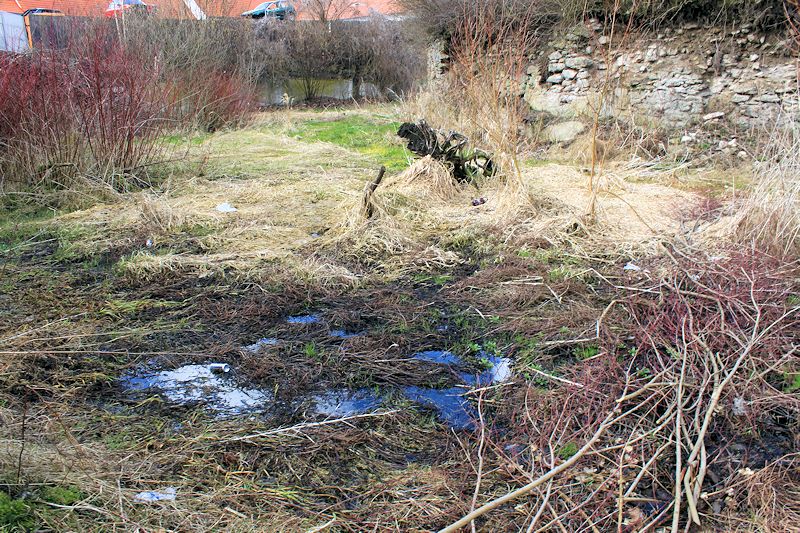 prameniště Ve Starém dvoře (11232)
