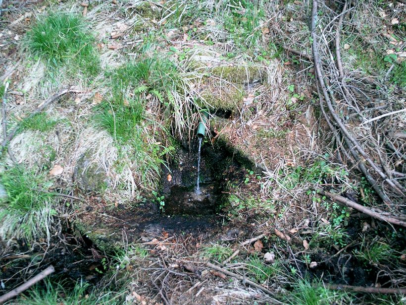 studánka bez jména (11234)